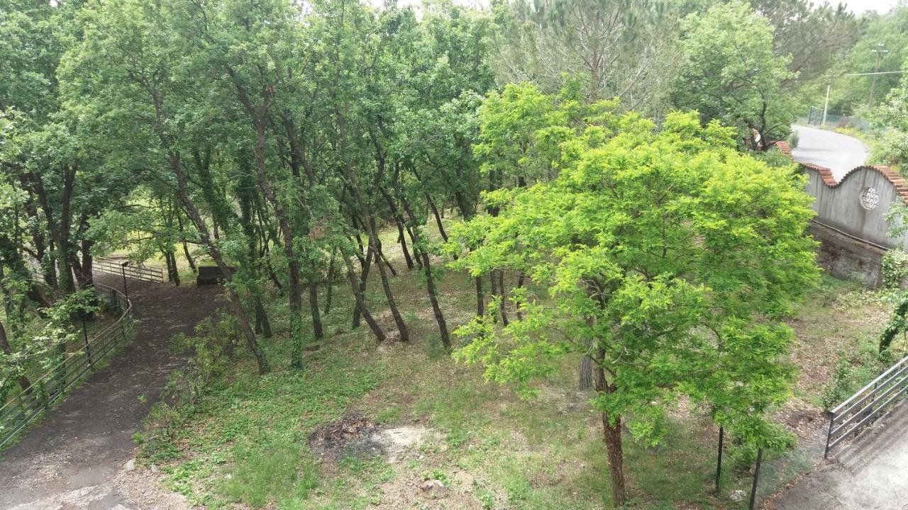 B&B Le Tre Rose Di Maria Pedara Εξωτερικό φωτογραφία