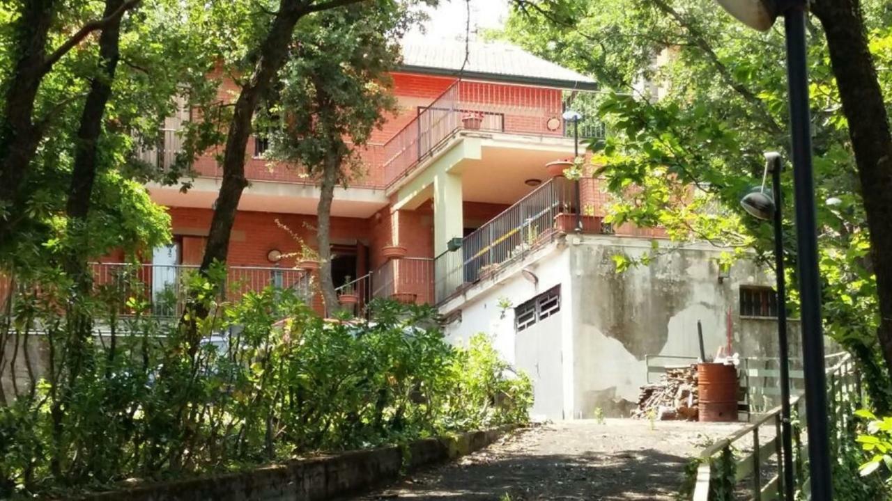 B&B Le Tre Rose Di Maria Pedara Εξωτερικό φωτογραφία